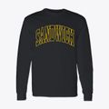 Sandwich New Hampshire Trendy Block Classic Long Sleeve T-Shirt additional view 1