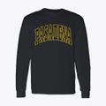 Pasadena Maryland Trendy Block Classic Long Sleeve T-Shirt additional view 1