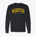 Webster New Hampshire Urban Vibe Classic Long Sleeve T-Shirt additional view 1