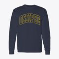 Ossipee New Hampshire Trendy Block Classic Long Sleeve T-Shirt additional view 1