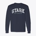 Stark New Hampshire Urban Vibe Classic Long Sleeve T-Shirt additional view 1