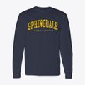 Springdale Pennsylvania Urban Vibe Classic Long Sleeve T-Shirt additional view 1