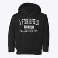 Wethersfield Massachusetts Classic Established Toddler Hoodie additional view 1