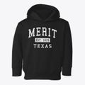 Merit Texas Classic Established Toddler Hoodie additional view 1