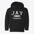 Jay Vermont Classic Established Toddler Hoodie additional product view 1