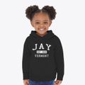 Jay Vermont Classic Established Toddler Hoodie additional product view 2