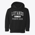 Luyando Puerto Rico Classic Established Toddler Hoodie additional view 1