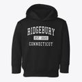 Ridgebury Connecticut Classic Established Toddler Hoodie additional view 1