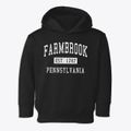 Farmbrook Pennsylvania Classic Established Toddler Hoodie additional product view 1
