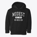 Modest Ohio Classic Established Toddler Hoodie additional view 1