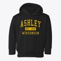 Ashley Wisconsin Classic Established Toddler Hoodie additional view 1