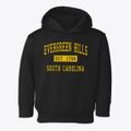 Evergreen Hills South Carolina Classic Established Toddler Hoodie additional view 1