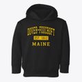 Dover-foxcroft Maine Classic Established Toddler Hoodie additional view 1