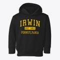 Irwin Pennsylvania Classic Established Toddler Hoodie additional view 1