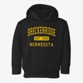 Breckenridge Minnesota Classic Established Toddler Hoodie additional view 1