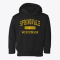 Springvale Wisconsin Classic Established Toddler Hoodie additional view 1