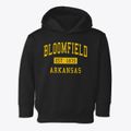 Bloomfield Arkansas Classic Established Toddler Hoodie additional view 1