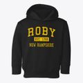 Roby New Hampshire Classic Established Toddler Hoodie additional view 1