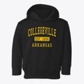 Collegeville Arkansas Classic Established Toddler Hoodie additional view 1