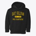 East Sullivan New Hampshire Classic Established Toddler Hoodie additional view 1