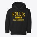 Hollis New Hampshire Classic Established Toddler Hoodie additional view 1