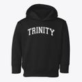 Trinity Christian School Varsity Arch Toddler Hoodie additional view 1