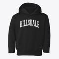 Hillsdale Elementary School Varsity Arch Toddler Hoodie additional view 1