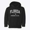 Florida Slogan Toddler Hoodie additional view 1