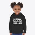 Brittany Farms-the Highlands Pennsylvania Classic Block Toddler Hoodie additional view 2