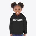Ontario Wisconsin Classic Block Toddler Hoodie additional view 2