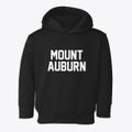 Mount Auburn Indiana Classic Block Toddler Hoodie additional view 1