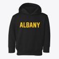 Albany New Hampshire Classic Block Toddler Hoodie additional view 1