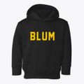 Blum Texas Classic Block Toddler Hoodie additional view 1