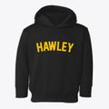 Hawley Texas Classic Curve Toddler Hoodie additional view 1