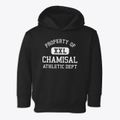 Chamisal New Mexico Athletic Dept Toddler Hoodie additional view 1