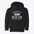 Blue Ash Ohio Athletic Dept Toddler Hoodie additional view 1
