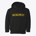Weweantic Massachusetts Timeless Retro Toddler Hoodie additional view 1