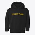 Pleasant Plains Arkansas Timeless Retro Toddler Hoodie additional view 1