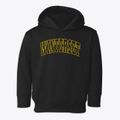 Winterset Iowa Trendy Block Toddler Hoodie additional view 1