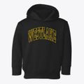 Westlake Texas Trendy Block Toddler Hoodie additional view 1