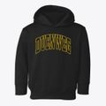 Duenweg Missouri Trendy Block Toddler Hoodie additional view 1