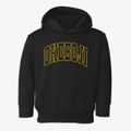 Okoboji Iowa Trendy Block Toddler Hoodie additional view 1