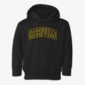 Greenville Ohio Trendy Block Toddler Hoodie additional view 1