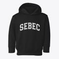 Sebec Maine Varsity Toddler Hoodie additional view 1
