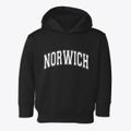 Norwich Ohio Varsity Toddler Hoodie additional view 1