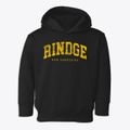 Rindge New Hampshire Urban Vibe Toddler Hoodie additional view 1
