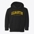 Gilmanton New Hampshire Urban Vibe Toddler Hoodie additional view 1