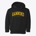 Hammond Wisconsin Urban Vibe Toddler Hoodie additional view 1