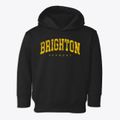 Brighton Vermont Urban Vibe Toddler Hoodie additional view 1