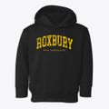 Roxbury New Hampshire Urban Vibe Toddler Hoodie additional view 1